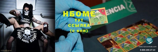 ПСИЛОЦИБИНОВЫЕ ГРИБЫ Гусев