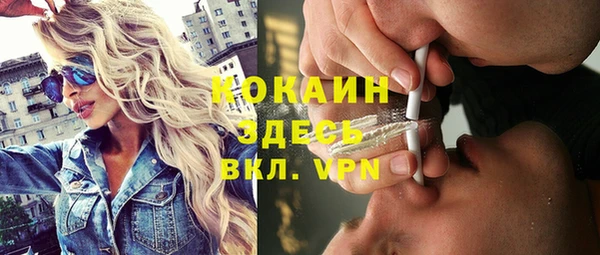 ПСИЛОЦИБИНОВЫЕ ГРИБЫ Гусев