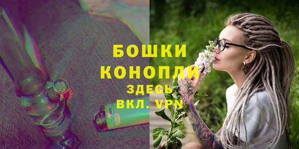 ПСИЛОЦИБИНОВЫЕ ГРИБЫ Гусев