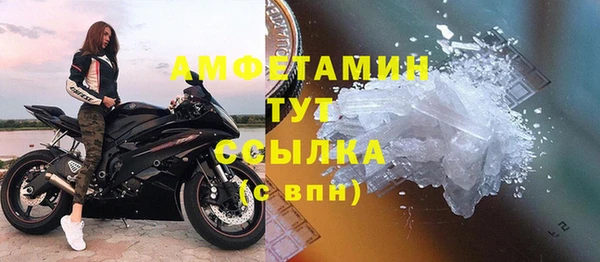 ПСИЛОЦИБИНОВЫЕ ГРИБЫ Гусев