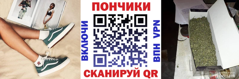 Бошки Шишки планчик  Купить где  Зуевка 